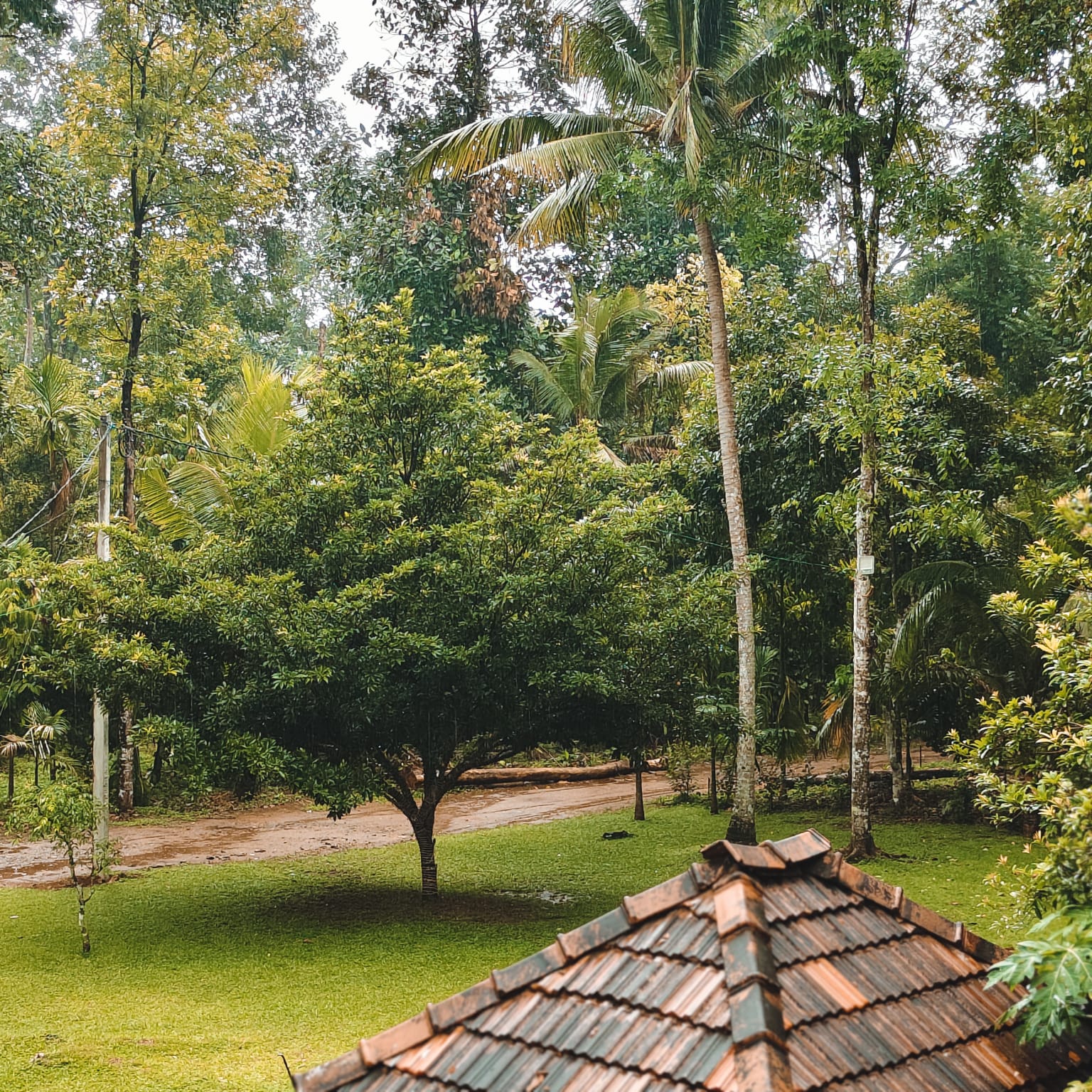 Private villa with swimming pool